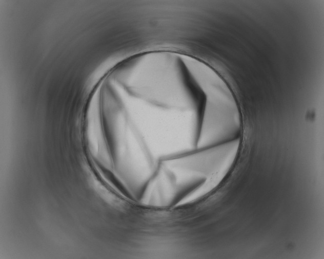 X0000113201054200910081247