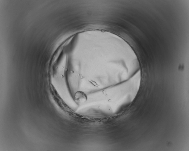 X0000113201055200910081247