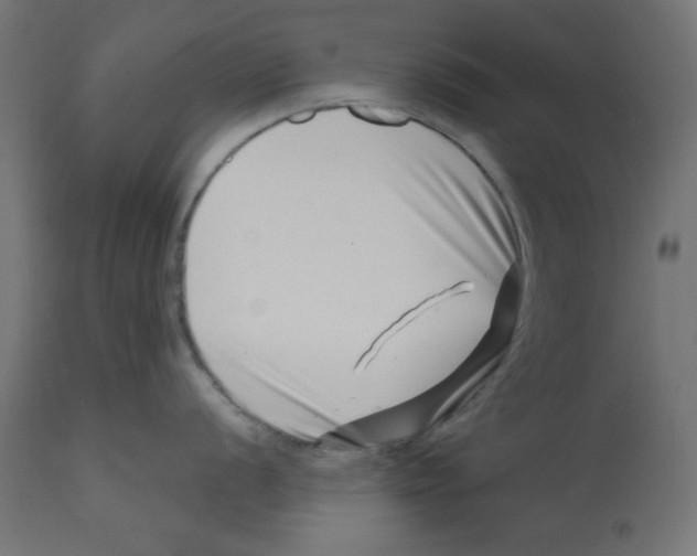 X0000113201056200910081247