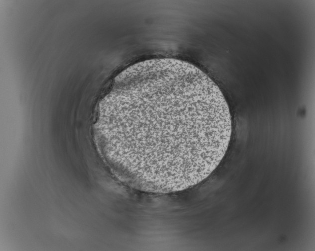 X0000113201057200910081246