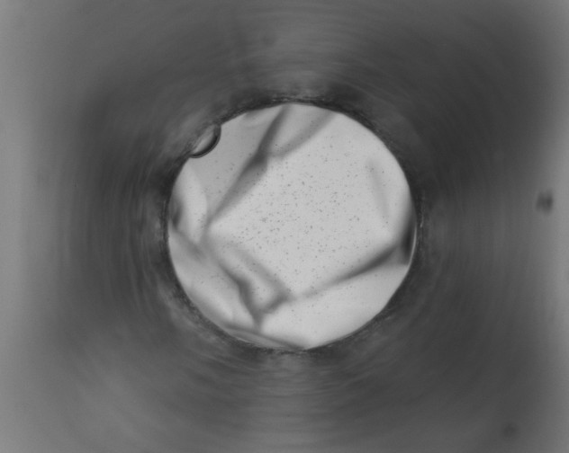 X0000113201058200910081246