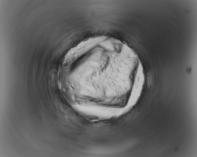 X0000113201059200910081246