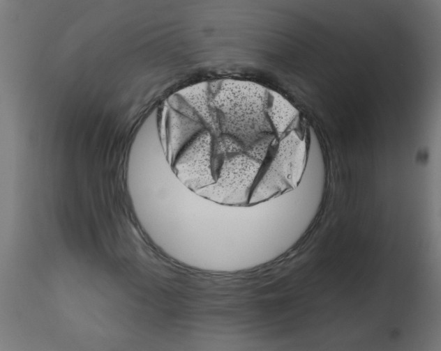 X0000113201060200910081246