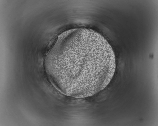 X0000113201061200910081246
