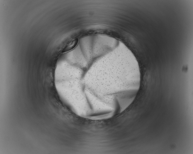 X0000113201062200910081246