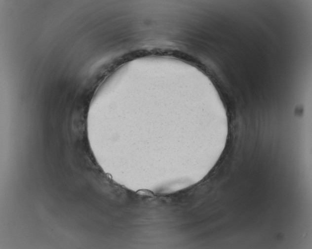 X0000113201063200910081246