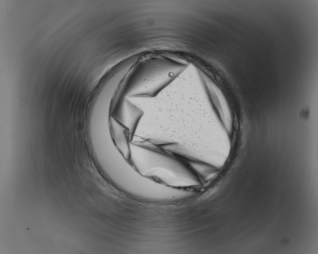 X0000113201065200910081246