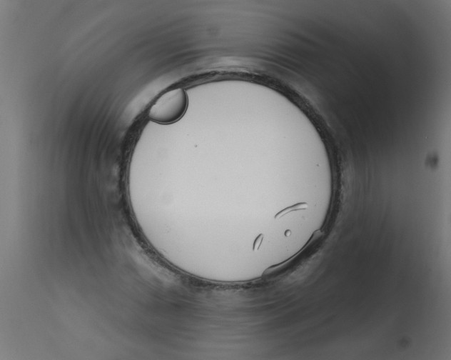 X0000113201066200910081246