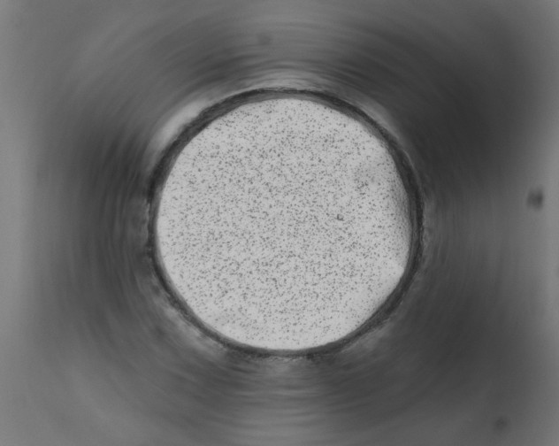 X0000113201067200910081246