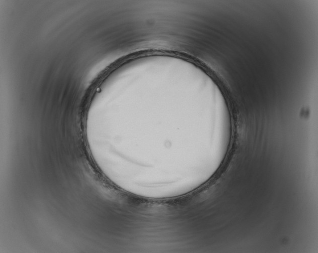 X0000113201070200910081246