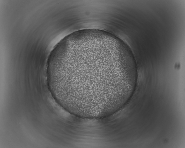 X0000113201071200910081246