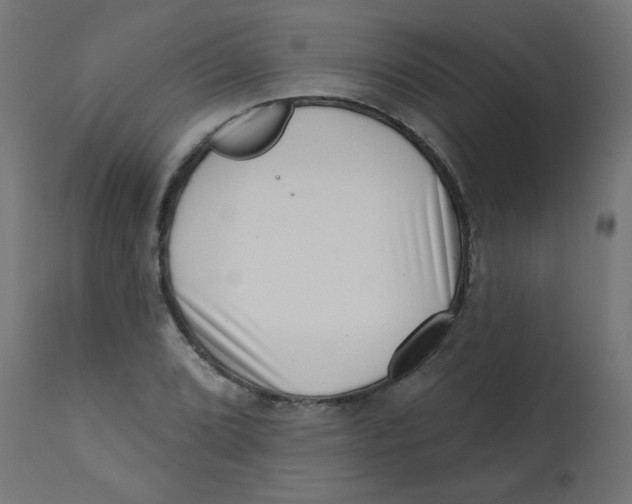 X0000113201072200910081246