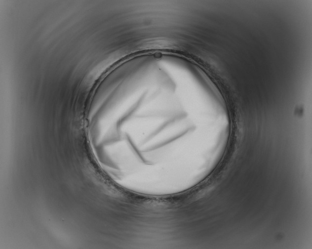 X0000113201073200910081246