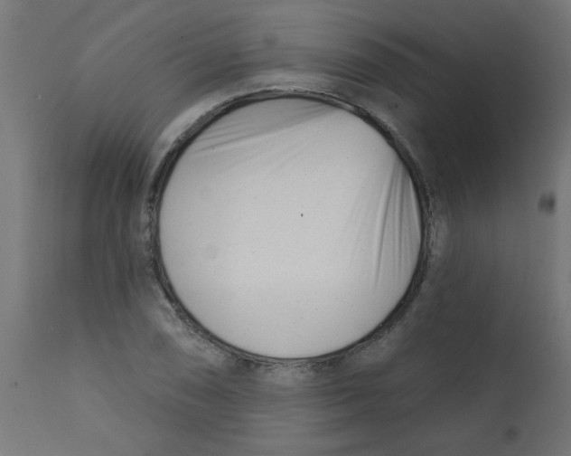 X0000113201074200910081246