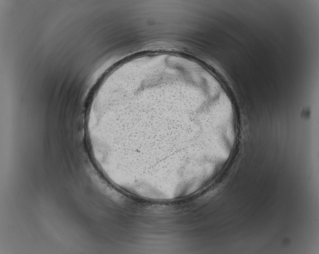X0000113201075200910081246