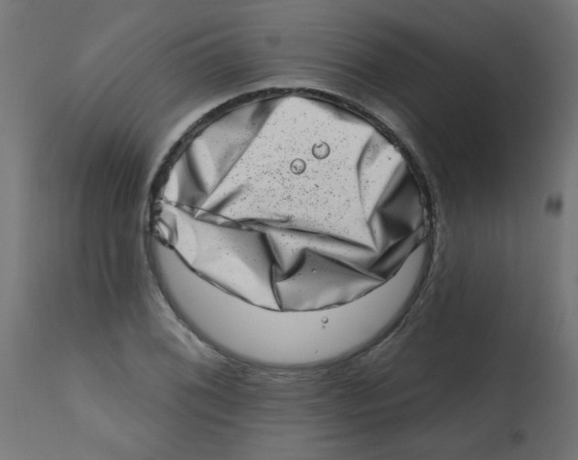 X0000113201076200910081246