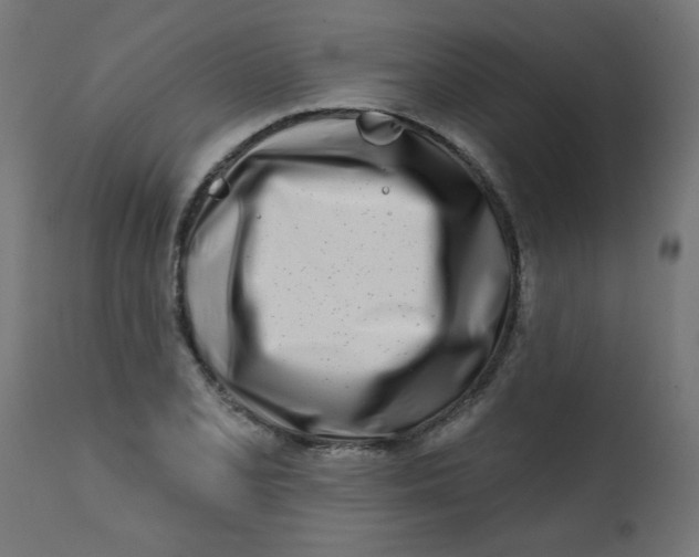 X0000113201077200910081246