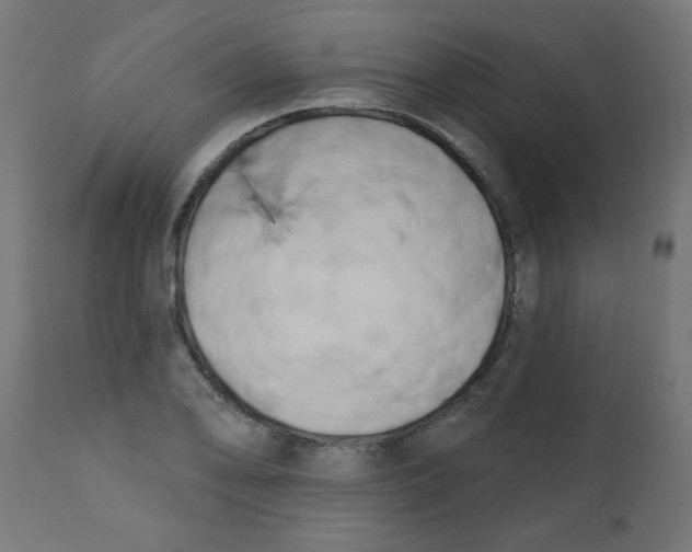 X0000113201078200910081246