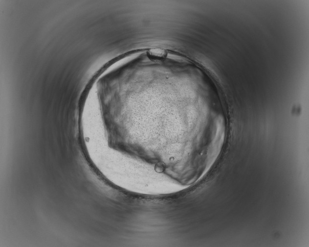X0000113201079200910081246