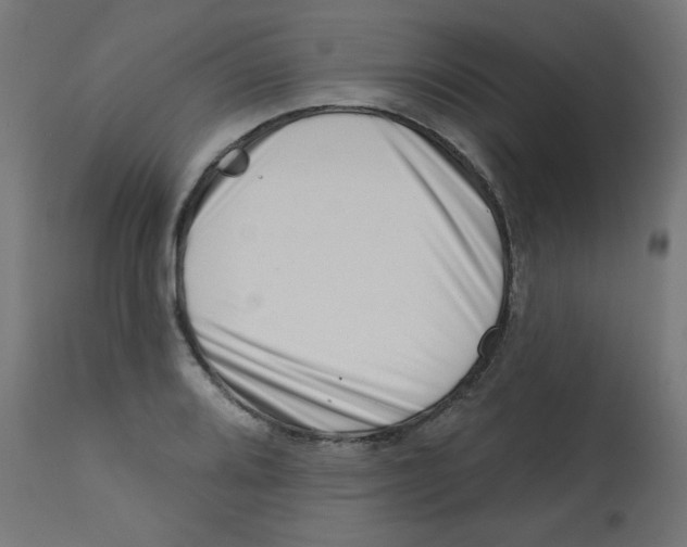 X0000113201080200910081246