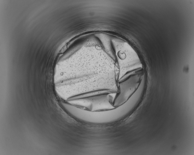 X0000113201081200910081246