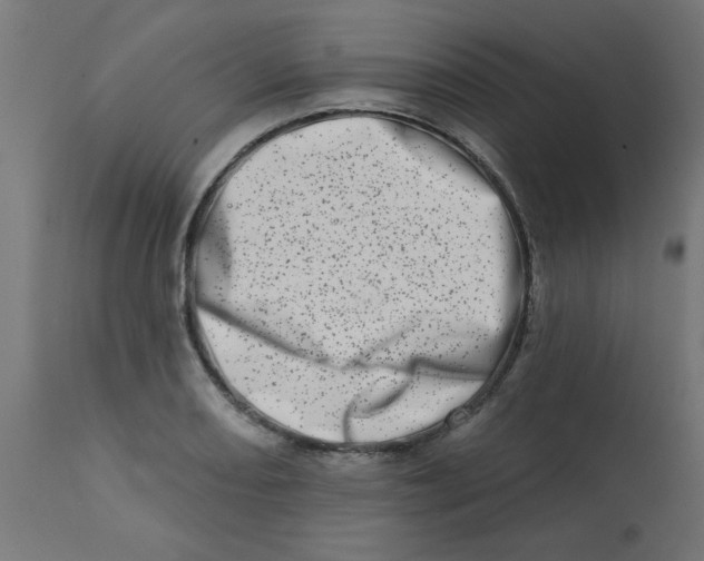 X0000113201082200910081246