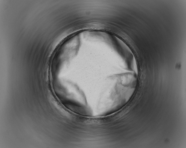 X0000113201083200910081246