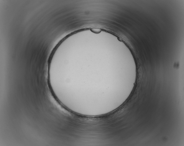X0000113201084200910081246