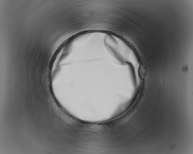 X0000113201085200910081246