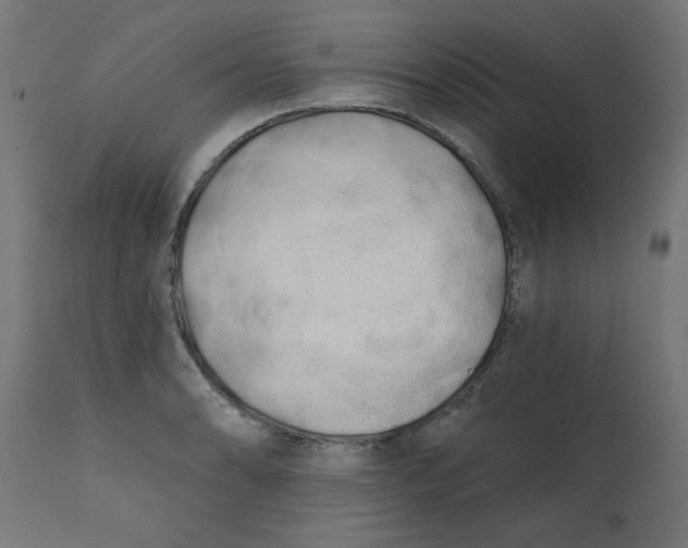 X0000113201086200910081246