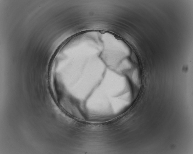 X0000113201087200910081246