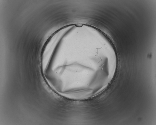 X0000113201088200910081246