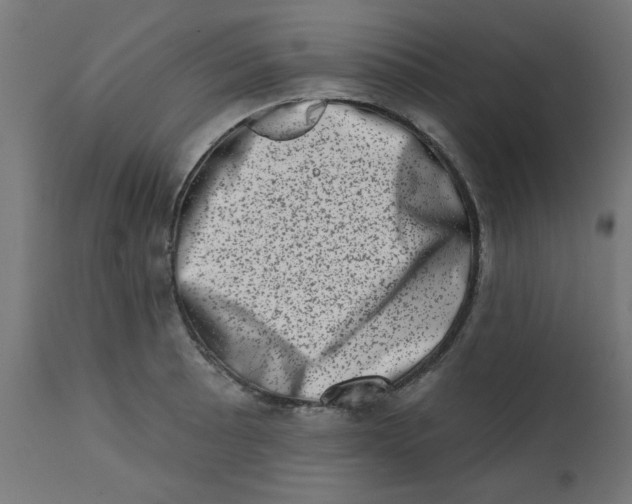 X0000113201089200910081246