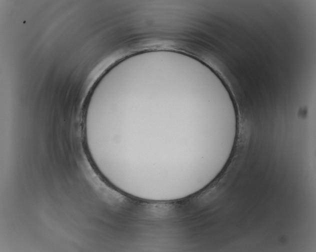 X0000113201090200910081246