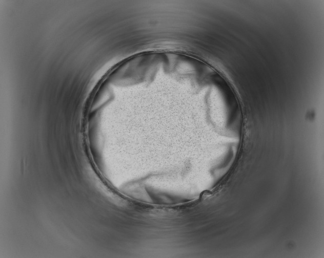 X0000113201091200910081246