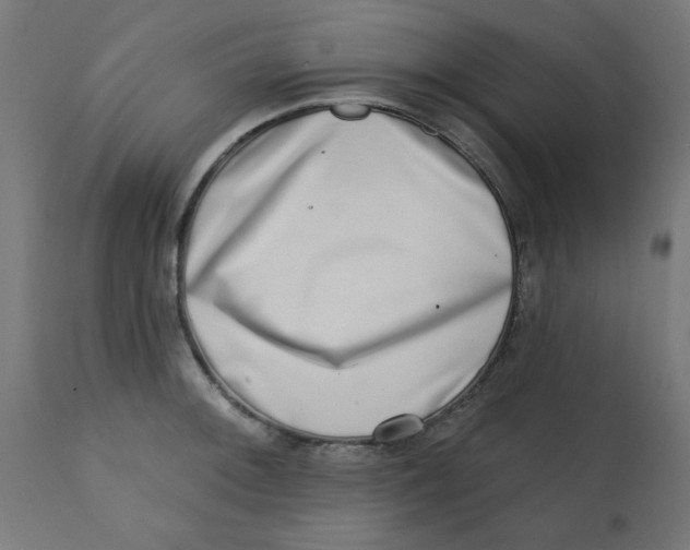 X0000113201092200910081246