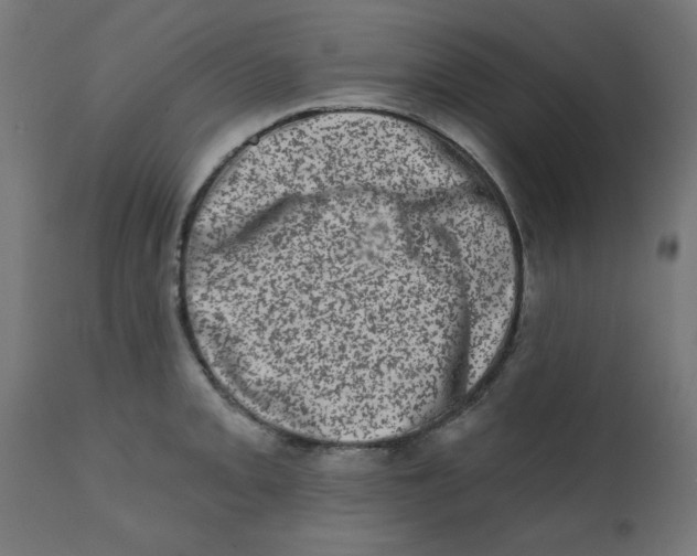 X0000113201093200910081246