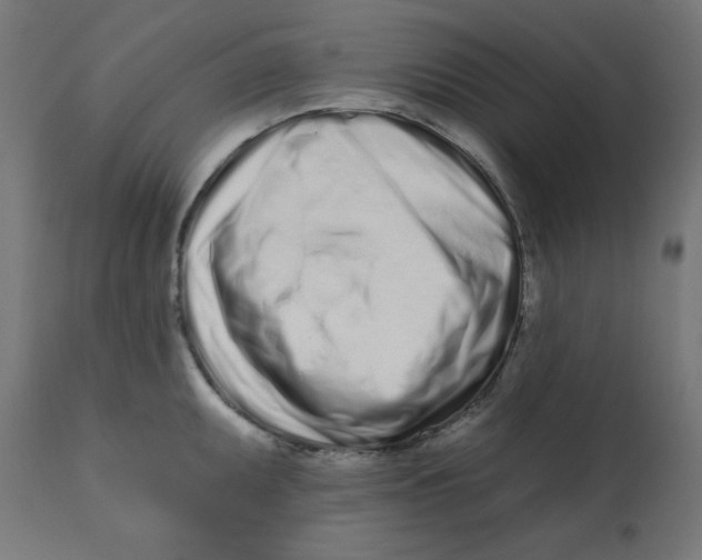 X0000113201095200910081245