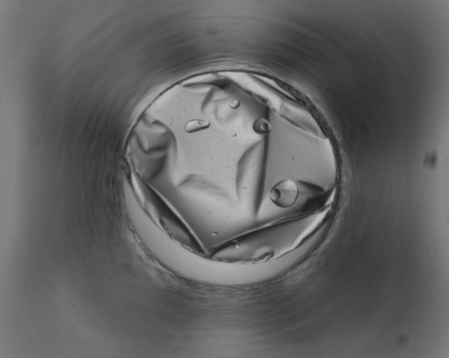 X0000113201097200910081245
