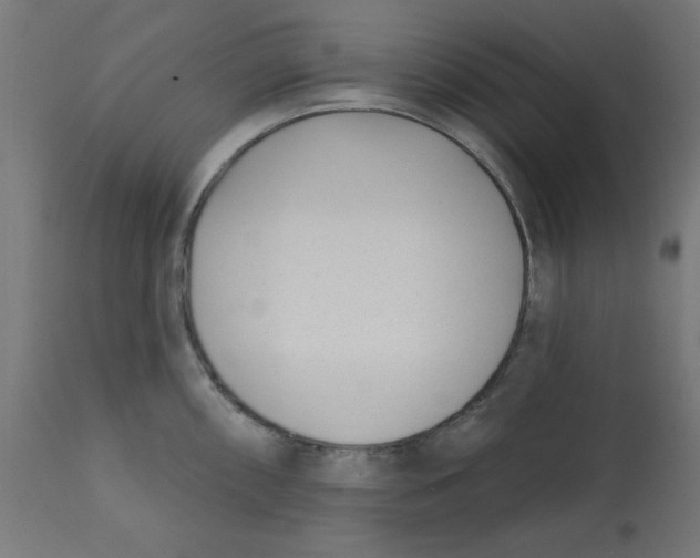 X0000113201098200910081245