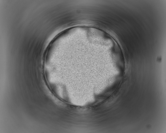 X0000113201099200910081245