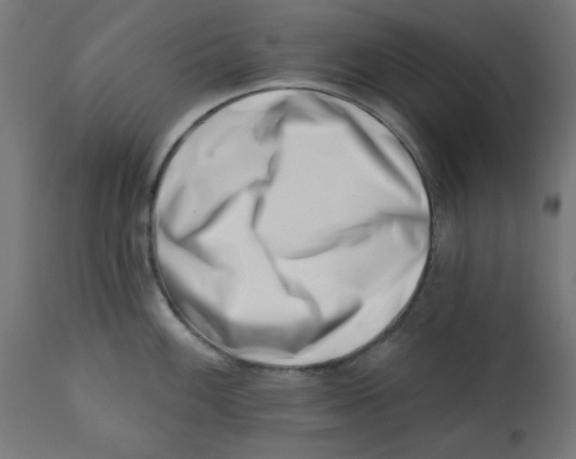 X0000113201100200910081245