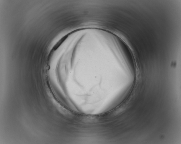 X0000113201101200910081245