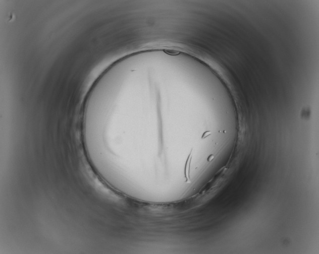 X0000113201102200910081245