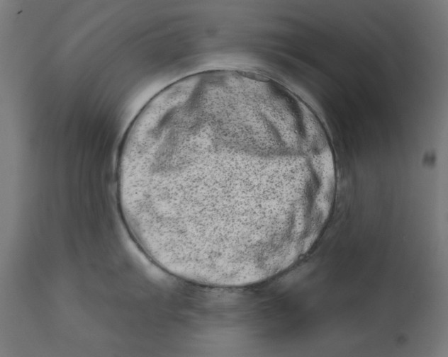 X0000113201103200910081245