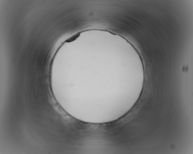 X0000113201104200910081245