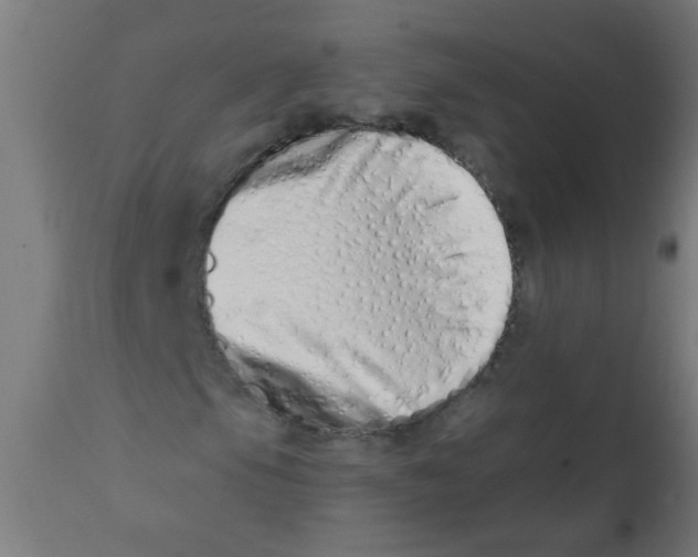 X0000113201105200910081245