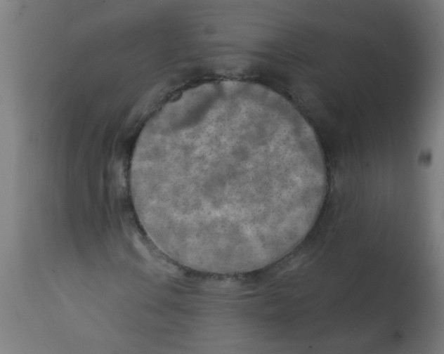 X0000113201106200910081245