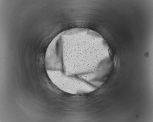 X0000113201107200910081245