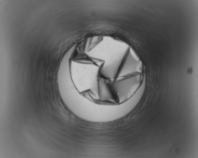 X0000113201108200910081245